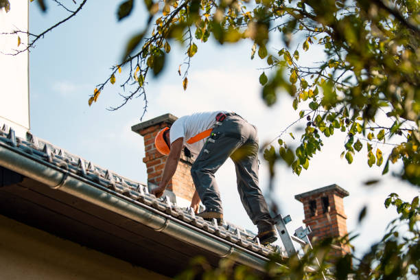 Best Sealant for Roof  in White Center, WA